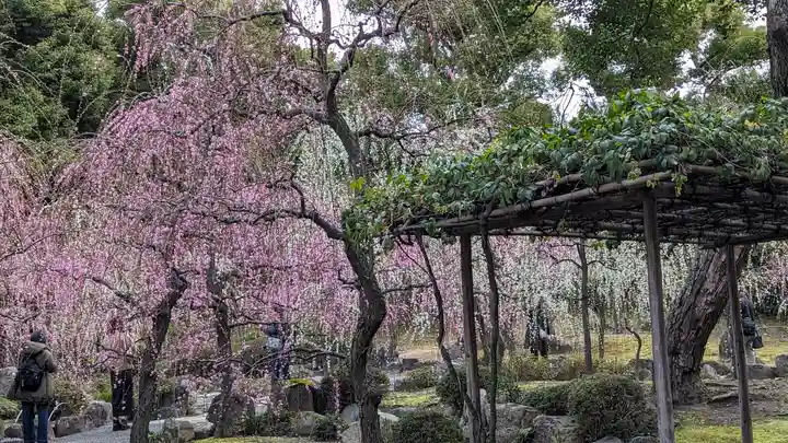 城南宮(京都府)