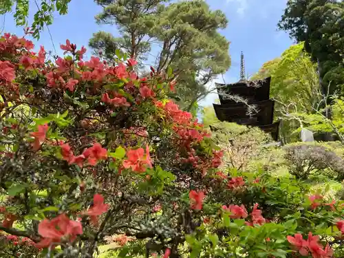 国宝 大法寺の自然