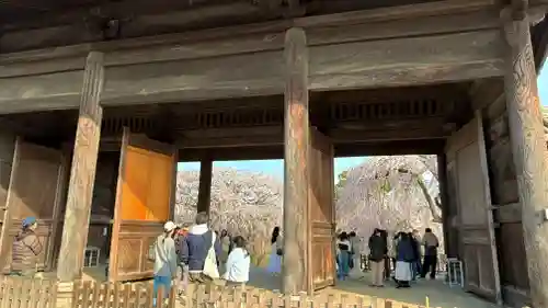 東郷寺(東京都)