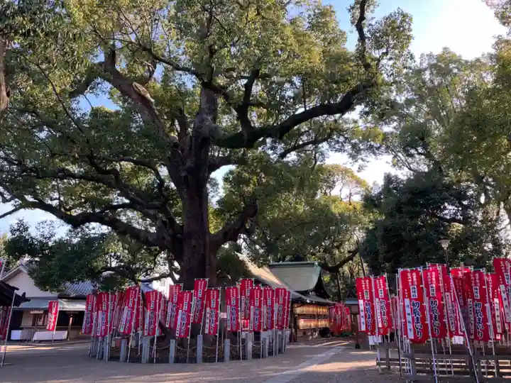 住吉大社の自然