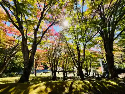 土津神社｜こどもと出世の神さま(福島県)