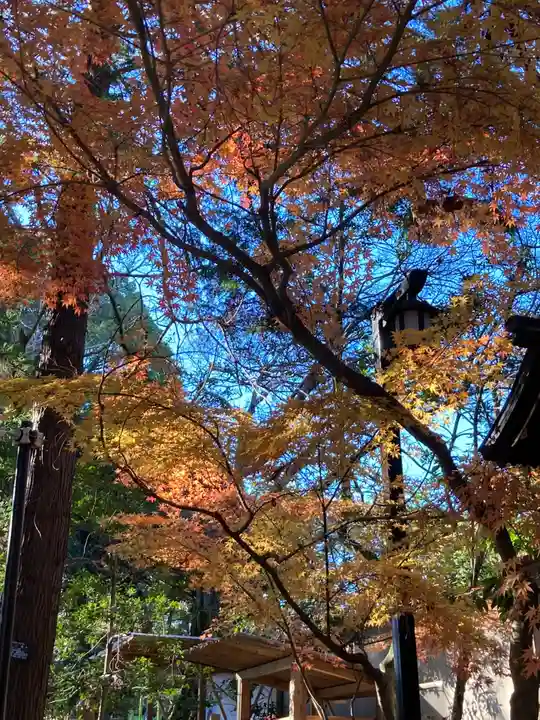 平塚八幡宮(神奈川県)