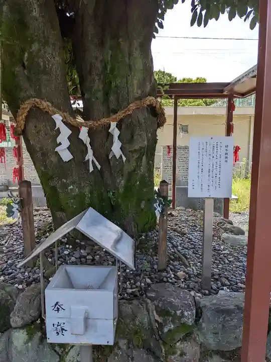 白山神社(二子町)の自然