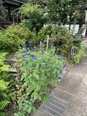 一乗寺(東京都)