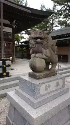 坂井神社の狛犬