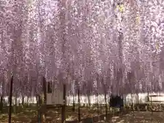 長泉寺の景色