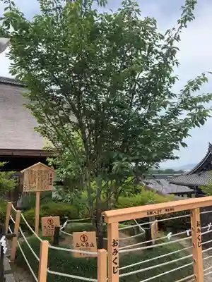 地主神社のその他建物