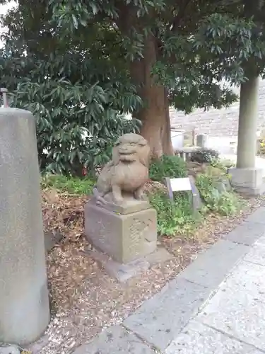 諏訪大神社の狛犬