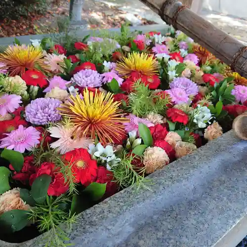 豊山八幡神社の手水舎
