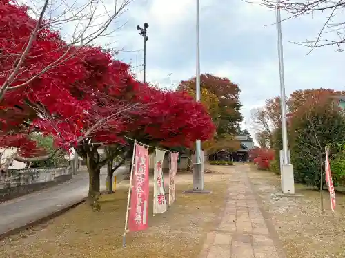 姫宮神社のその他建物