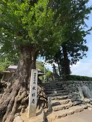 杖杉庵(徳島県)