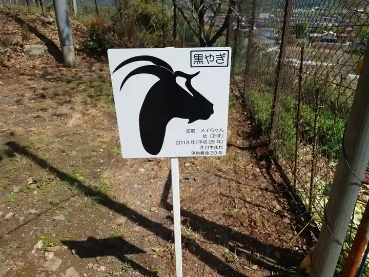 賀茂別雷神社(栃木県)