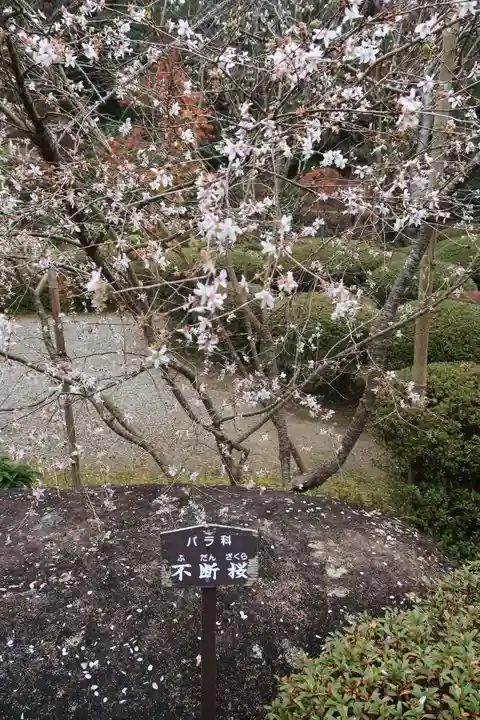 西明寺(滋賀県)