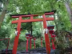 貴船神社結社(京都府)