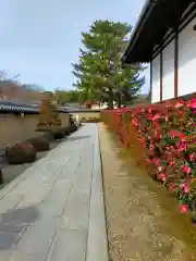 法隆寺(奈良県)