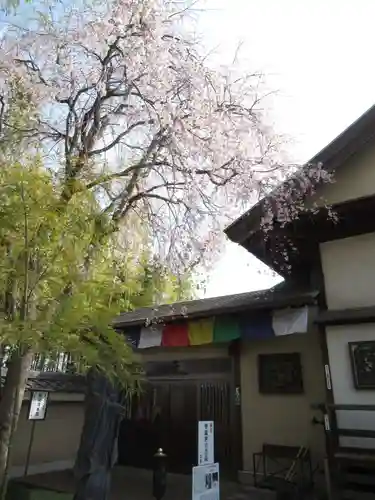 真光寺(千葉県)