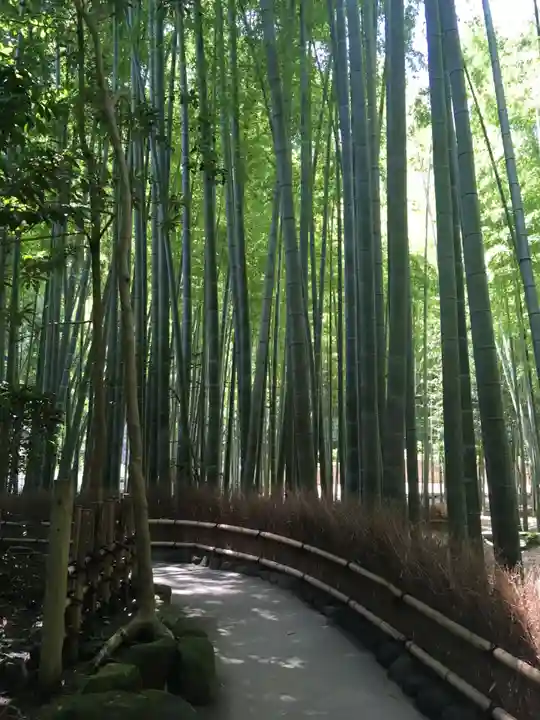 報国寺(神奈川県)