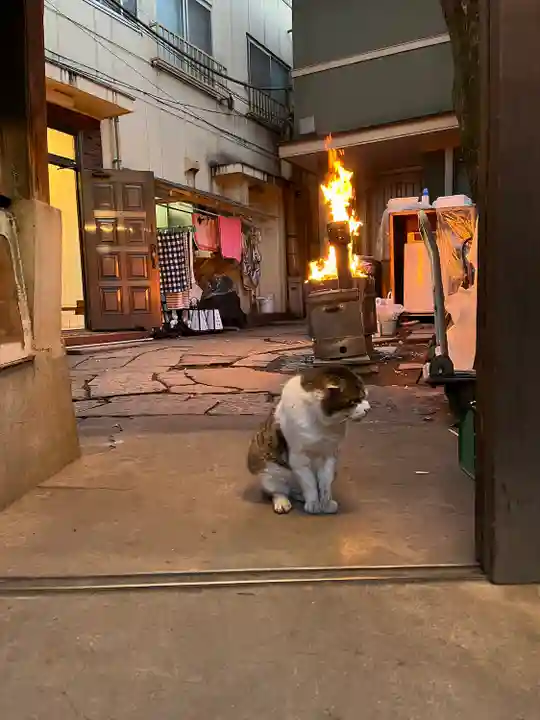 戸越八幡神社の動物