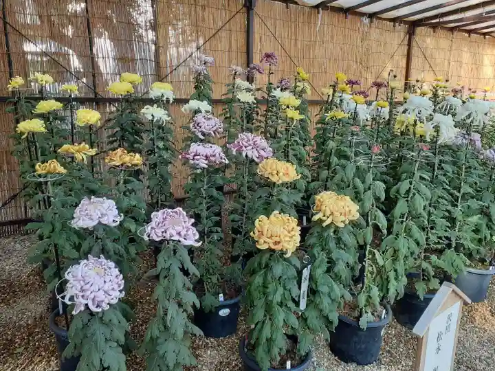 道明寺天満宮(大阪府)