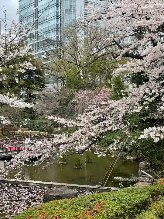 東郷神社の自然