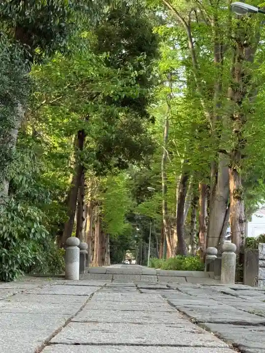 越ヶ谷久伊豆神社の{uncategorized: "未分類", other: "その他", undefined: "問題あり", building: "その他建物", grave: "お墓", sacred_gate: "鳥居", guardian: "狛犬", statue: "像", buddha: "仏像", history: "歴史", nature: "自然", garden: "庭園", animal: "動物", pagoda: "塔", temizu: "手水舎", mountain_gate: "山門・神門", sanctuary: "本殿・本堂", subordinate: "末社・摂社", art: "芸術", scenery: "景色", jizo: "地蔵", ema: "絵馬", goshuin: "御朱印", omikuji: "おみくじ", items: "授与品その他", amulet: "お守り", goshuincho: "御朱印帳", eats: "食事", festival: "お祭り", votive_dance: "神楽", shichigosan: "七五三参", wedding: "結婚式", experience: "体験その他", initially: "初詣", around: "周辺", anti_infection: "感染症対策"}