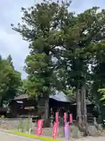 高司神社〜むすびの神の鎮まる社〜(福島県)