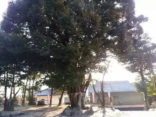 東海市熊野神社のその他建物