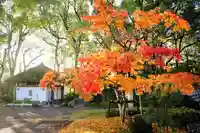 温泉山 安楽寺(四国霊場第六番札所)の自然