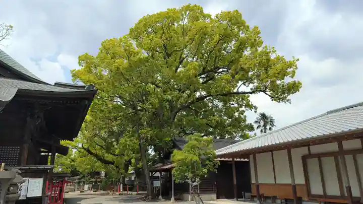 美奈宜神社(福岡県)