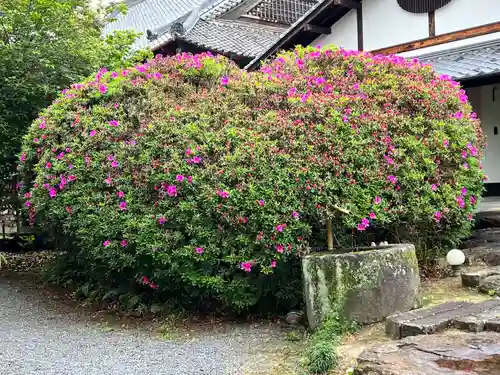 大本山誕生院  の建物その他