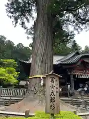 北口本宮冨士浅間神社(山梨県)