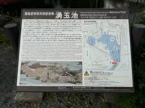 富士山本宮浅間大社(静岡県)