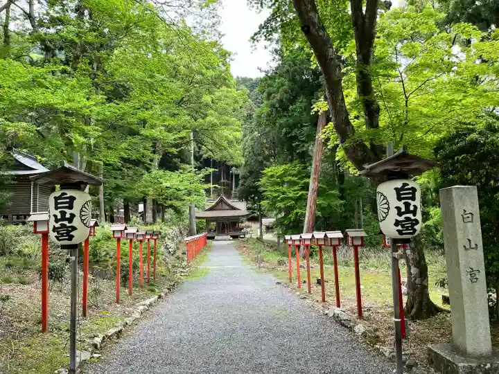 日吉大社 白山宮の{uncategorized: "未分類", other: "その他", undefined: "問題あり", building: "その他建物", grave: "お墓", sacred_gate: "鳥居", guardian: "狛犬", statue: "像", buddha: "仏像", history: "歴史", nature: "自然", garden: "庭園", animal: "動物", pagoda: "塔", temizu: "手水舎", mountain_gate: "山門・神門", sanctuary: "本殿・本堂", subordinate: "末社・摂社", art: "芸術", scenery: "景色", jizo: "地蔵", ema: "絵馬", goshuin: "御朱印", omikuji: "おみくじ", items: "授与品その他", amulet: "お守り", goshuincho: "御朱印帳", eats: "食事", festival: "お祭り", votive_dance: "神楽", shichigosan: "七五三参", wedding: "結婚式", experience: "体験その他", initially: "初詣", around: "周辺", anti_infection: "感染症対策"}