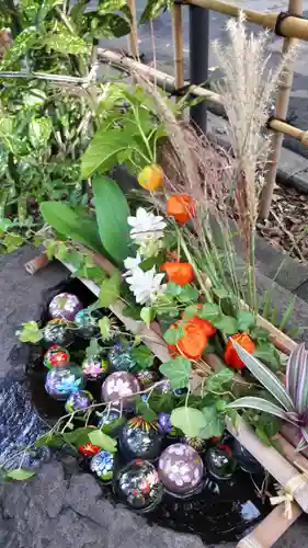 新琴似神社の手水舎