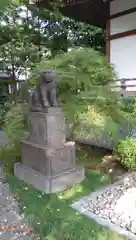 天現寺の狛犬