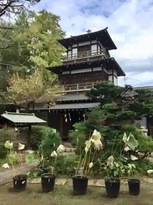 観音寺（世田谷山観音寺）の本殿・本堂