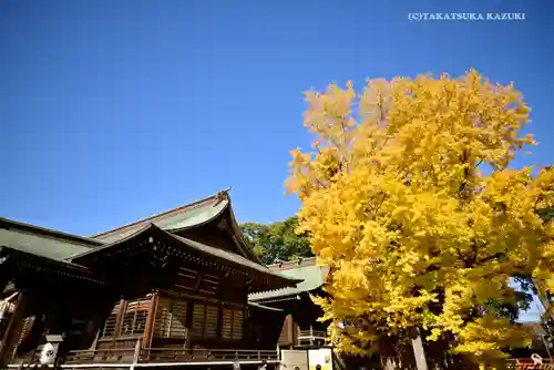 葛飾八幡宮(千葉県)