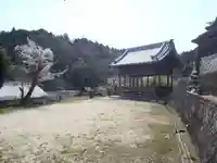 津島神社(愛知県)