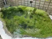 正覚院の手水舎