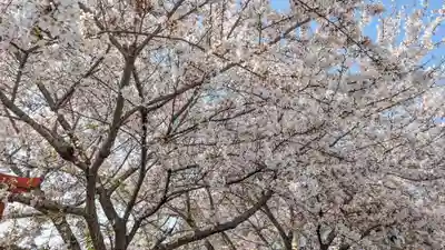 六孫王神社(京都府)