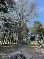 蛭子神社(滋賀県)