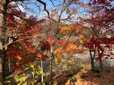 本土寺(千葉県)