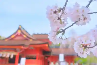 富士山本宮浅間大社(静岡県)