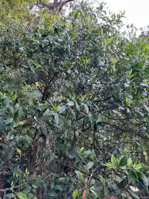息栖神社(茨城県)