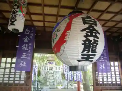 白金龍王社(愛知県)