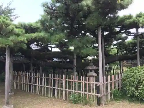 永安寺の庭園