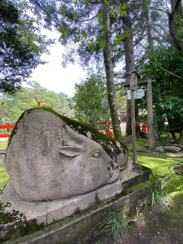 金澤神社の狛犬