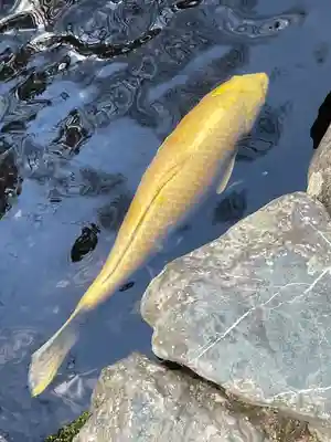 伊勢神宮内宮（皇大神宮）(三重県)