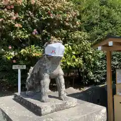 鶴岡八幡宮の狛犬