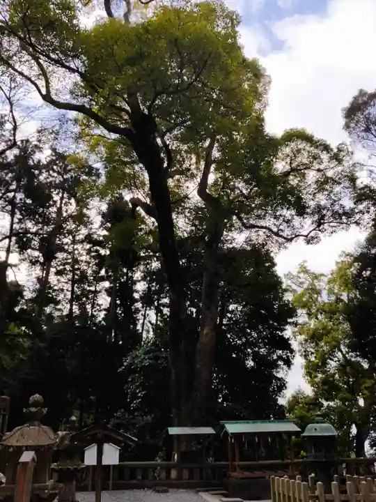 久能山東照宮(静岡県)